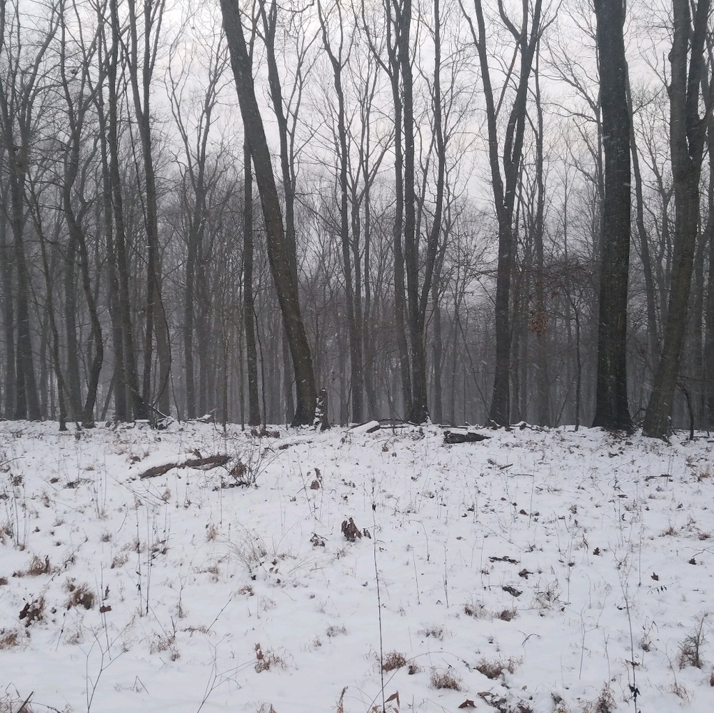 Meet your Posher, Steven